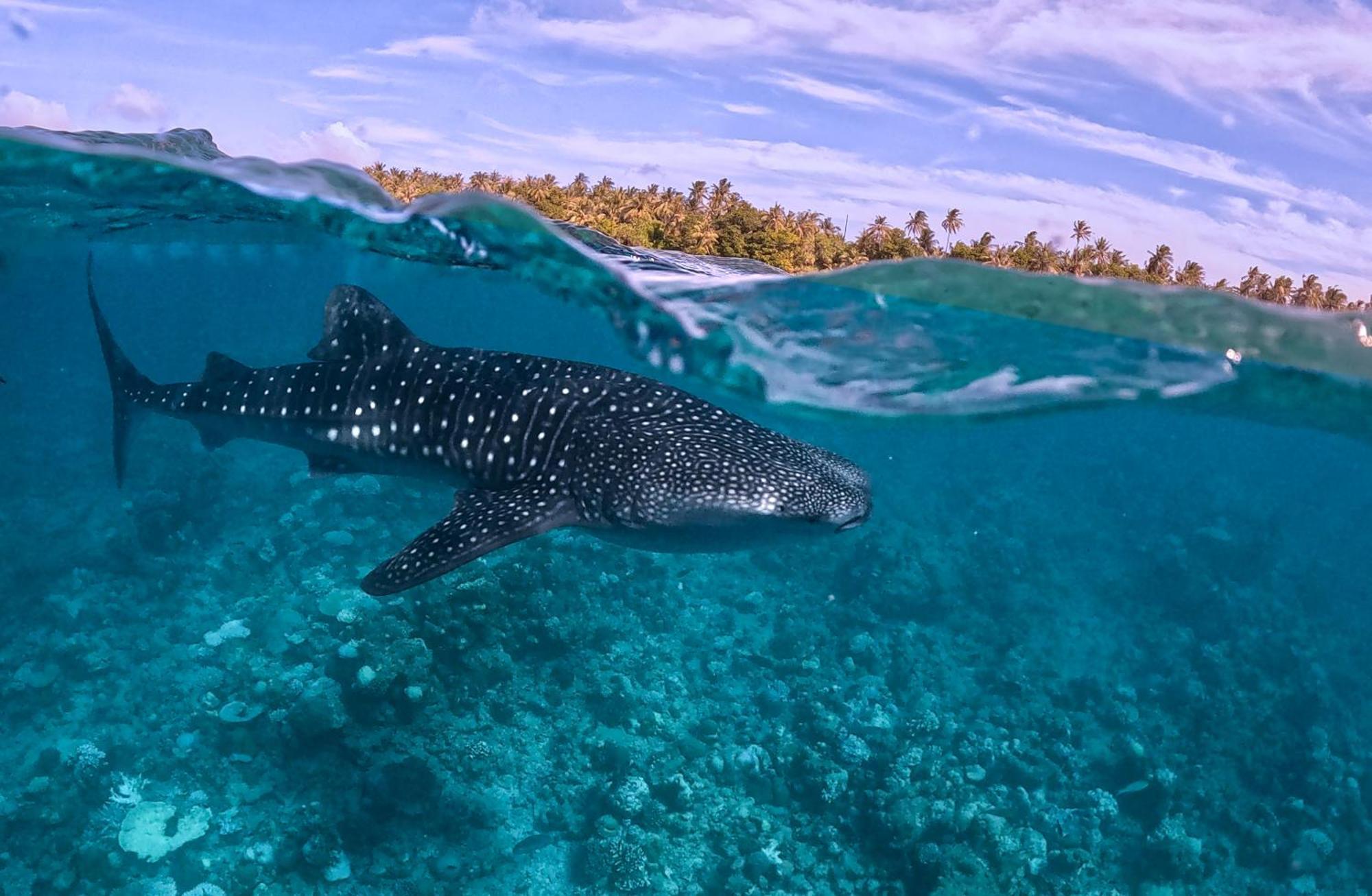 Sands Grand Dhigurah  Εξωτερικό φωτογραφία